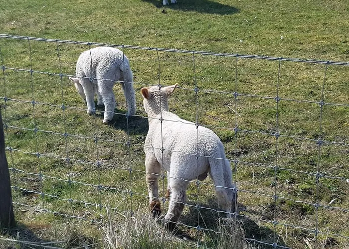 Kleine Hafenperle Buesum